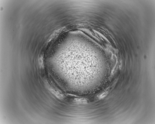 X0000087670520200705251622