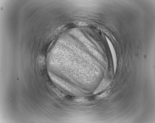 X0000087670521200705251622