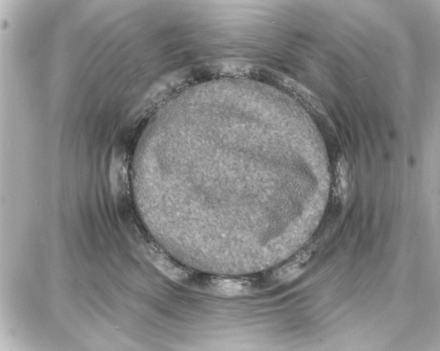 X0000087670522200705251622