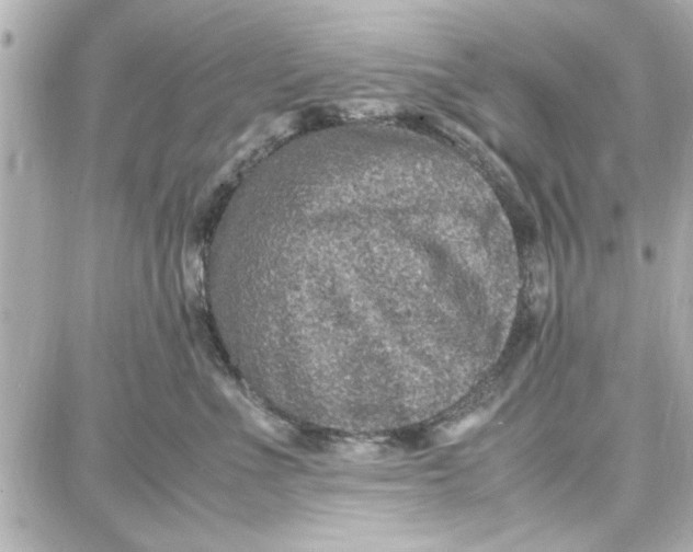 X0000087670523200705251622