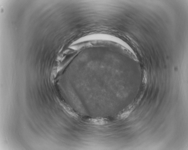 X0000087670524200705251622