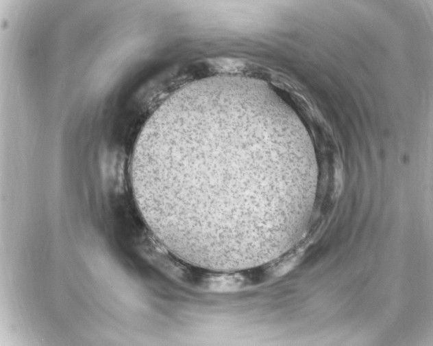 X0000087670525200705251622