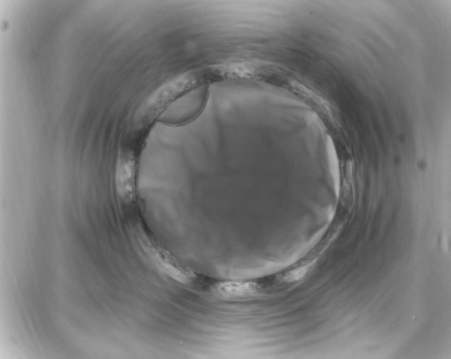 X0000087670526200705251622