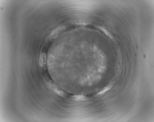 X0000087670528200705251622