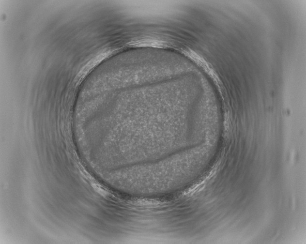 X0000087670529200705251621