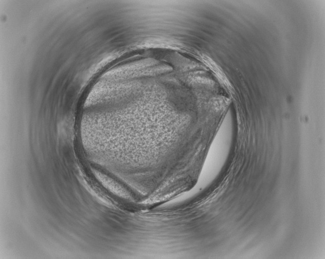 X0000087670530200705251621