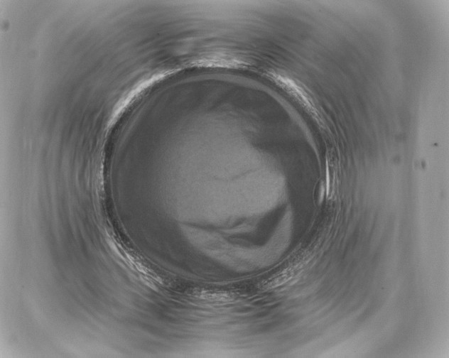 X0000087670531200705251621