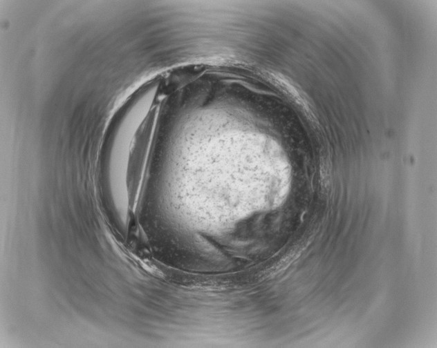 X0000087670532200705251621