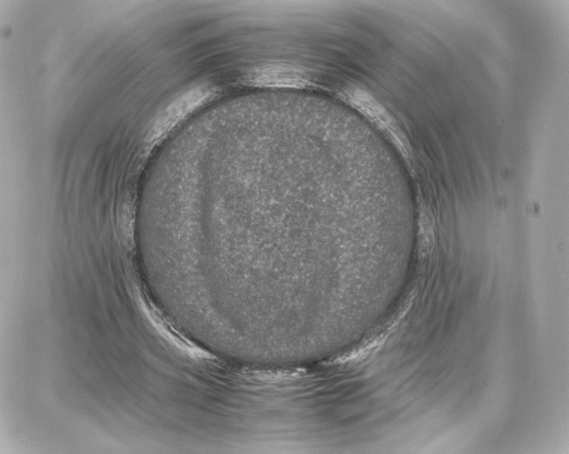 X0000087670533200705251621