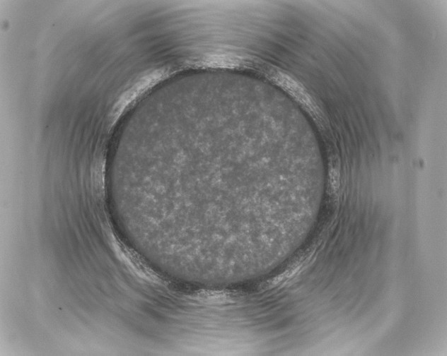 X0000087670534200705251621