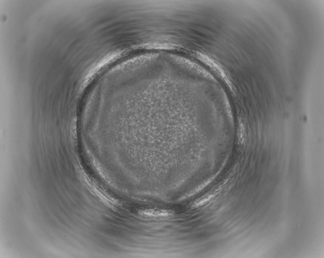 X0000087670535200705251621