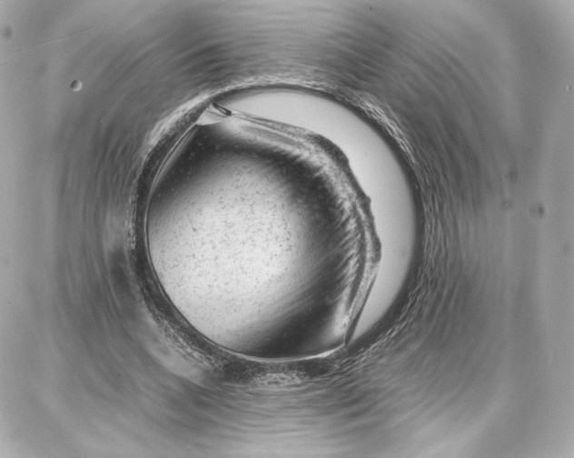 X0000087670536200705251621