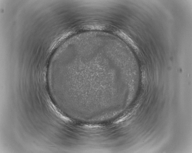 X0000087670537200705251621