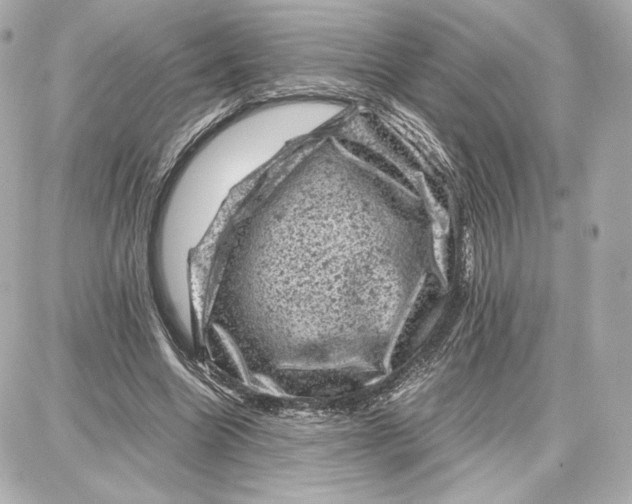 X0000087670538200705251621