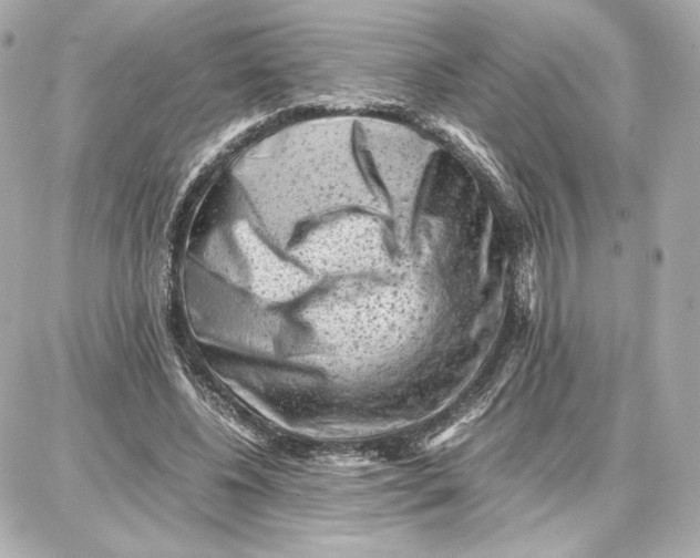 X0000087670540200705251621