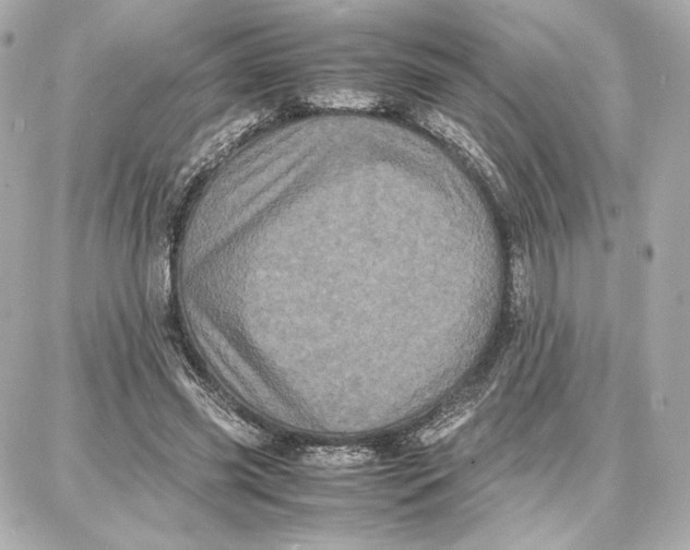 X0000087670541200705251621