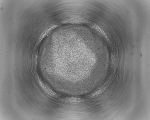 X0000087670542200705251621