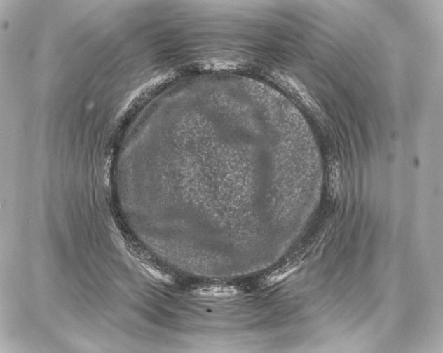 X0000087670543200705251621