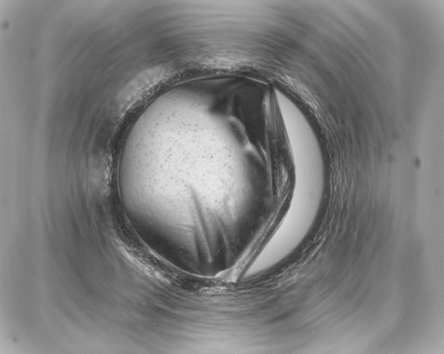 X0000087670544200705251621