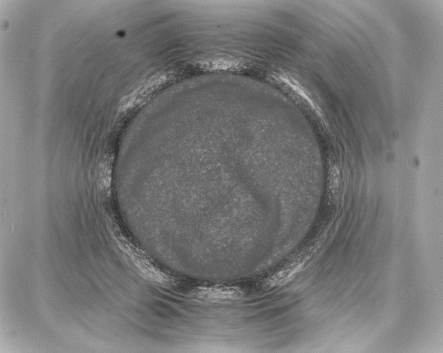 X0000087670545200705251621