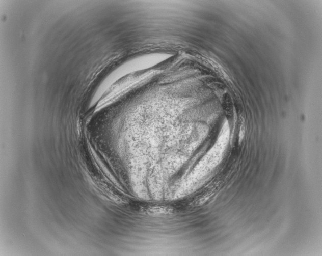 X0000087670546200705251621