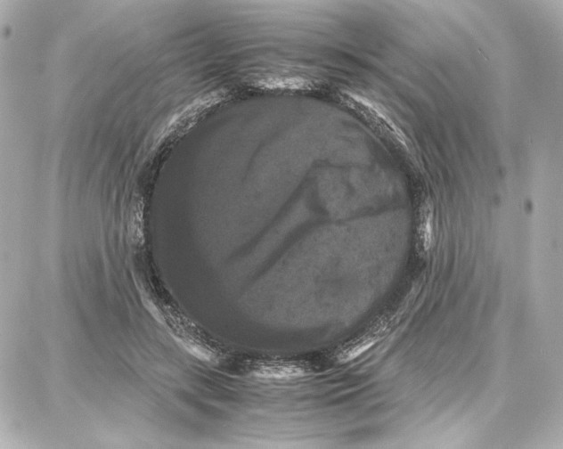 X0000087670547200705251621