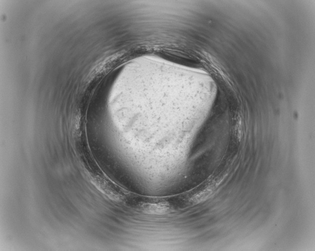 X0000087670548200705251621