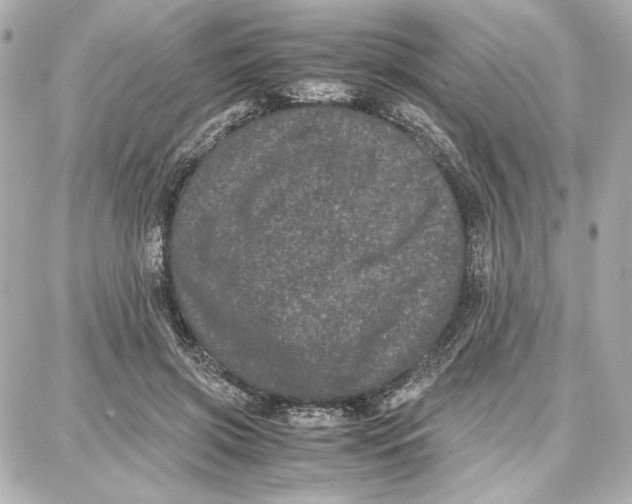 X0000087670549200705251621