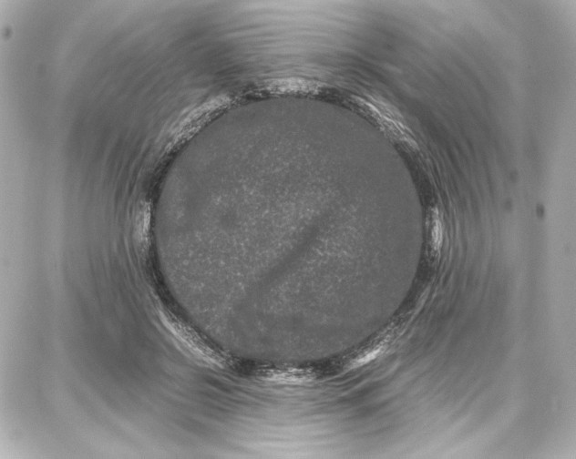 X0000087670550200705251621