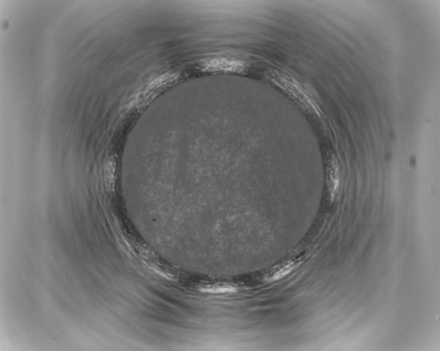 X0000087670551200705251621