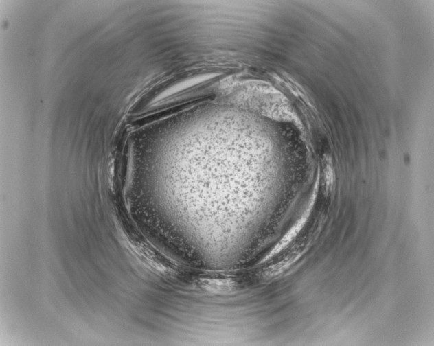 X0000087670552200705251621