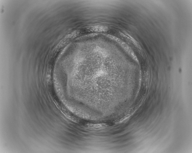 X0000087670553200705251621