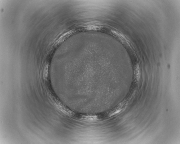 X0000087670554200705251621