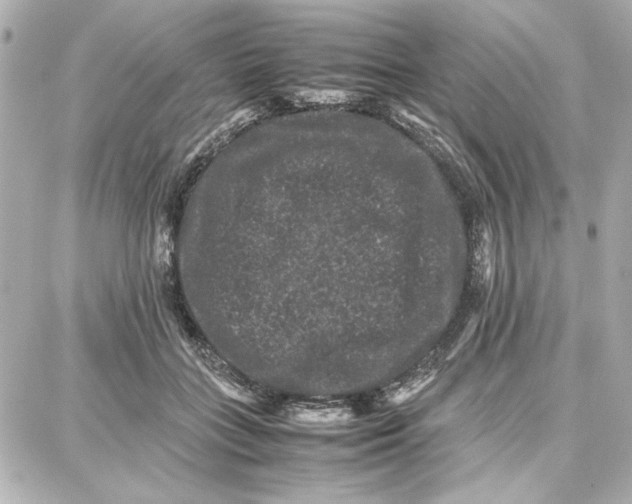 X0000087670555200705251621