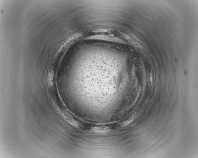 X0000087670556200705251621