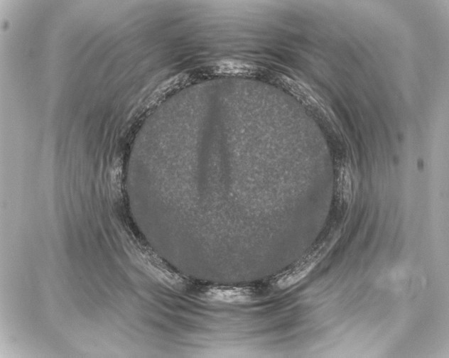 X0000087670557200705251621