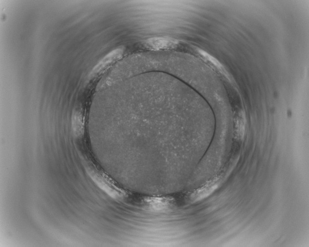 X0000087670558200705251621