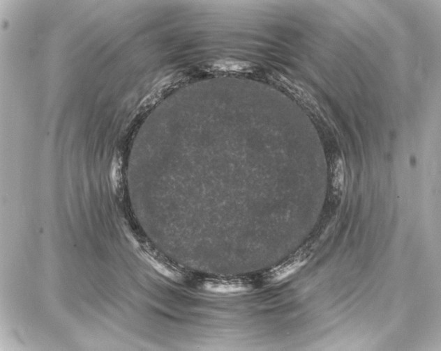 X0000087670559200705251621