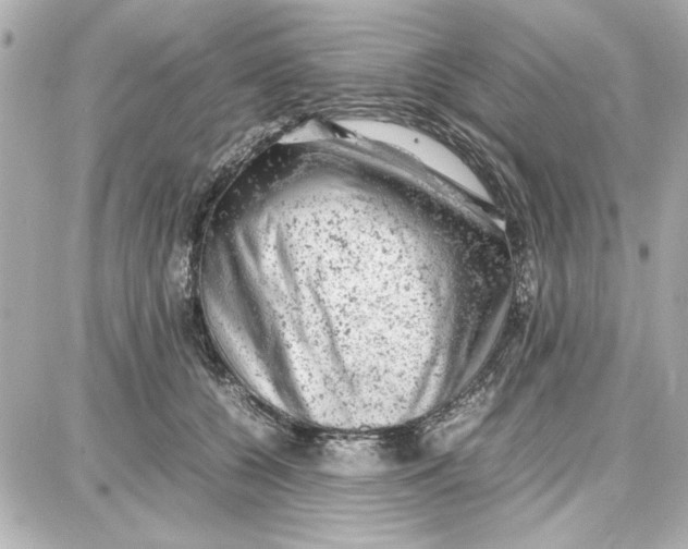 X0000087670560200705251621