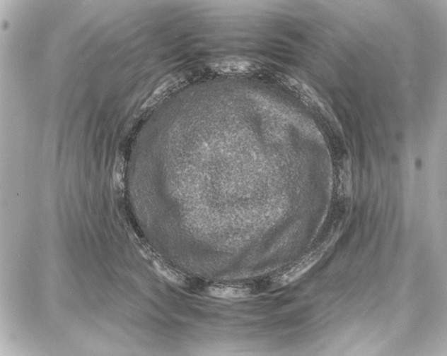 X0000087670561200705251621