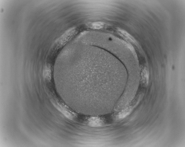 X0000087670562200705251622