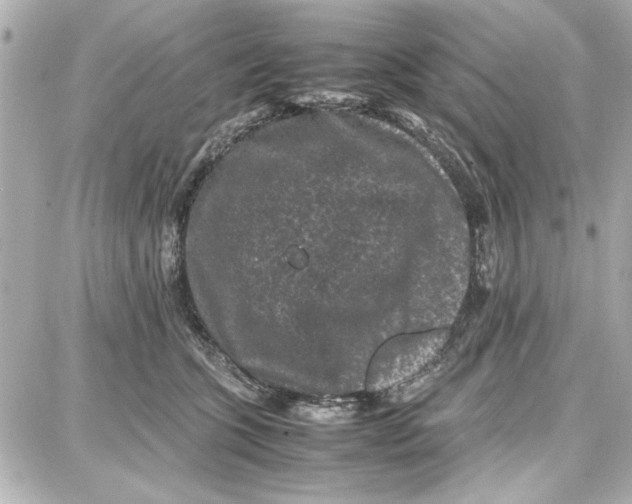 X0000087670563200705251622