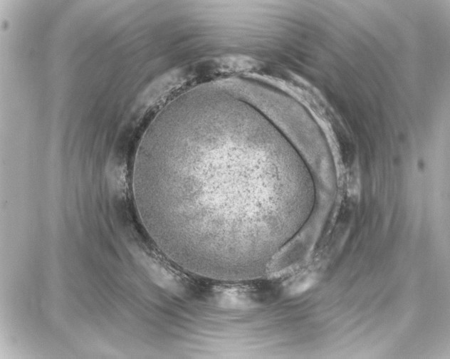 X0000087670564200705251622