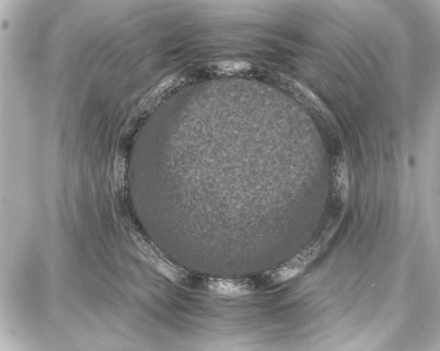 X0000087670565200705251622