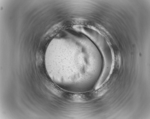 X0000087670566200705251622