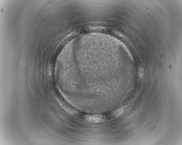 X0000087670567200705251622