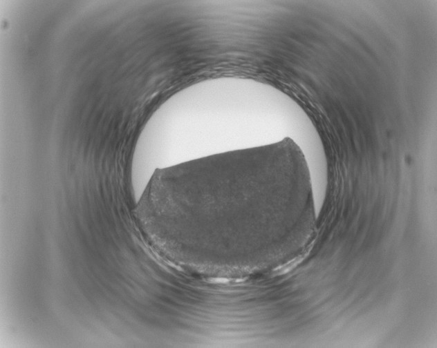 X0000087670568200705251622