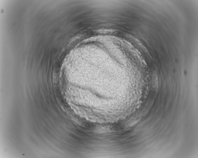 X0000087670569200705251622