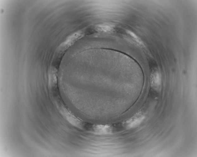 X0000087670570200705251622