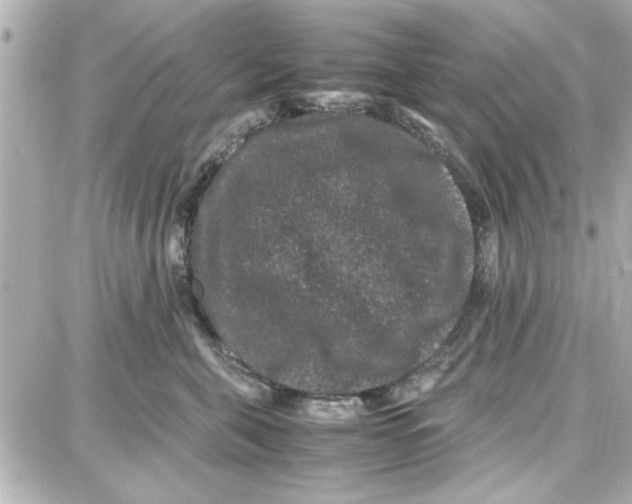 X0000087670571200705251622